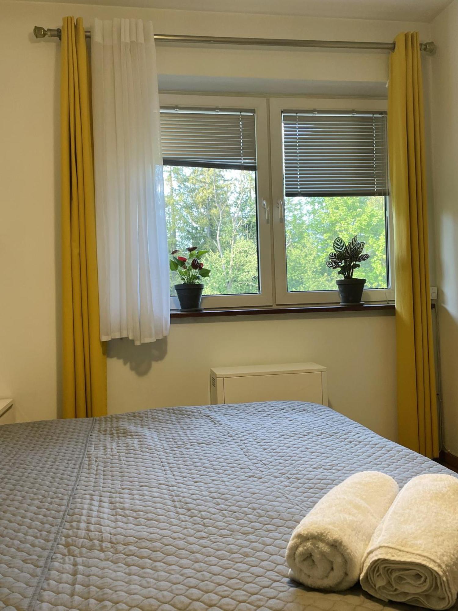 자코파네 Apartament Idylla 아파트 외부 사진
